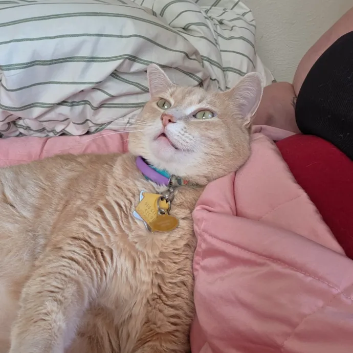 Gracie S.