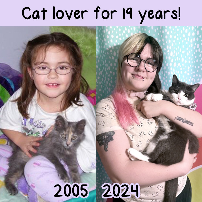 Ollie Onyx Cat Care