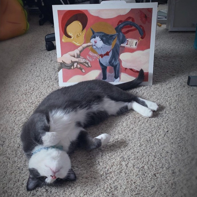Ollie Onyx Cat Care