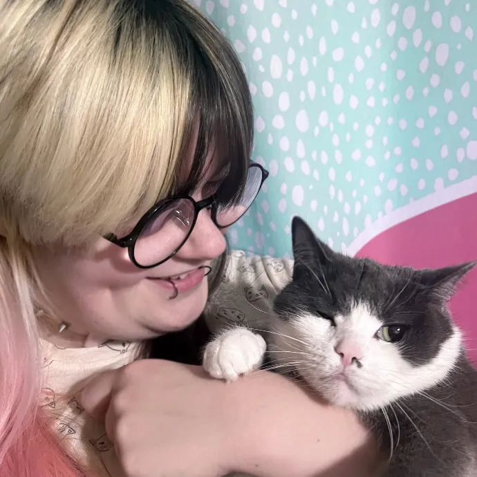 Ollie Onyx Cat Care photo 3