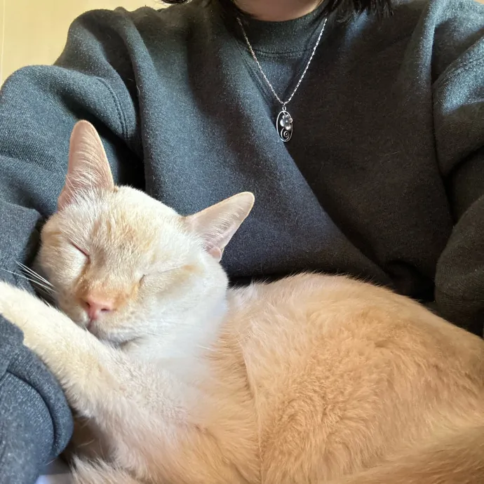 Lifelong Cat Lover Offering Kind Care