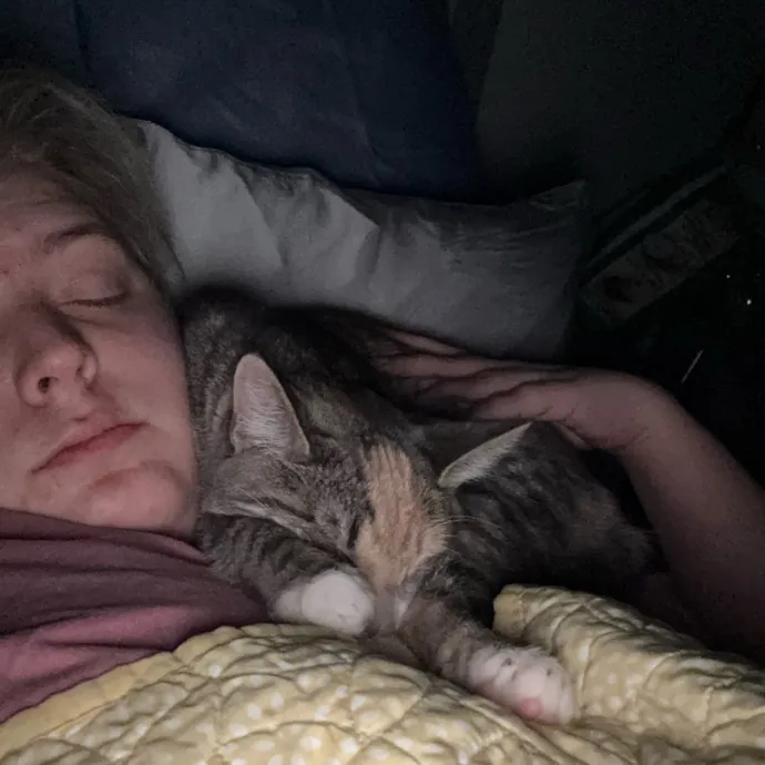 Cats Deserve To Be Spoiled With Love