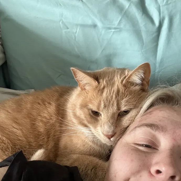 Cats Deserve To Be Spoiled With Love photo 3
