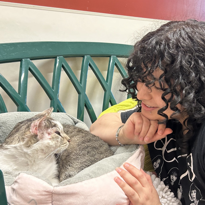 Marilyn's Kitty Korner photo 3