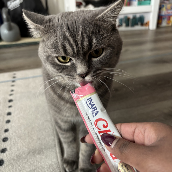 Meowgical Cat Lover