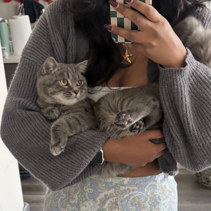 Meowgical Cat Lover photo 3