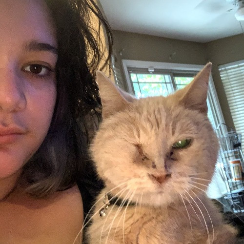 Rose's Guide To The Relaxy Cat-Galaxy