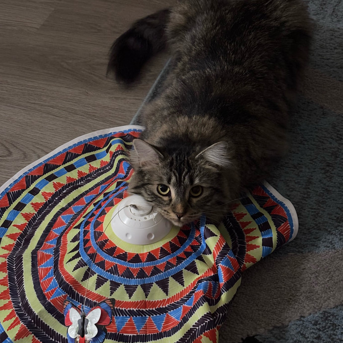Rose's Guide To The Relaxy Cat-Galaxy