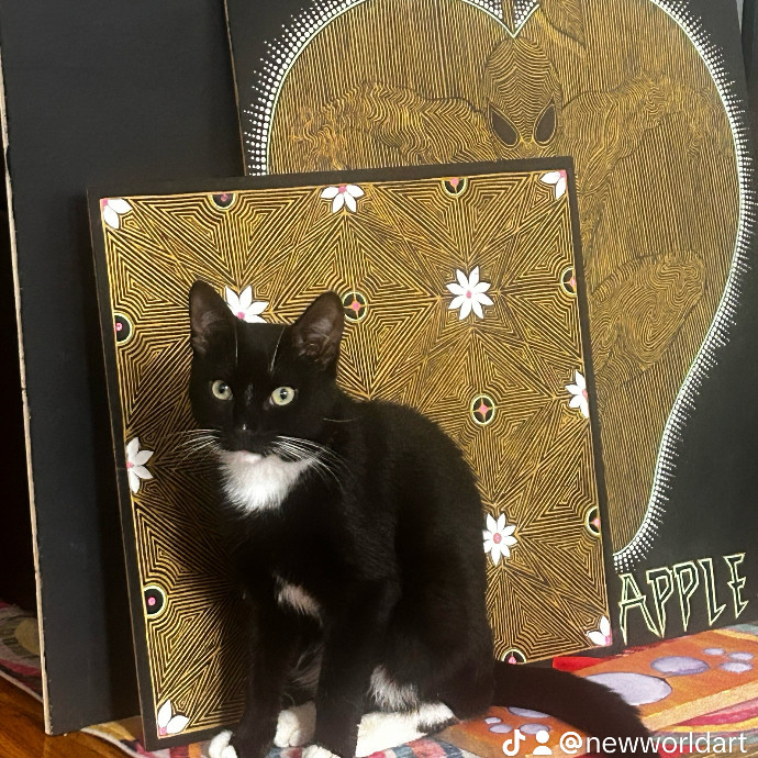 Cleocatra Cat Sitting Services photo 2