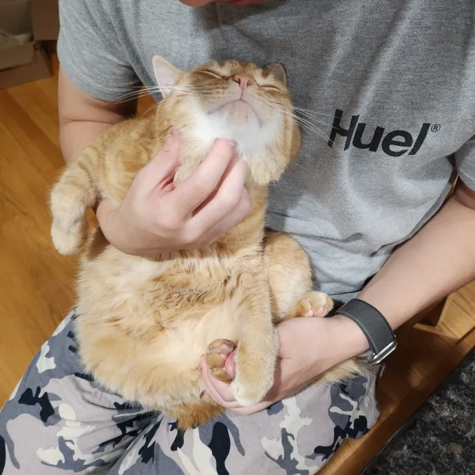 Dependable Attentive Local photo 3