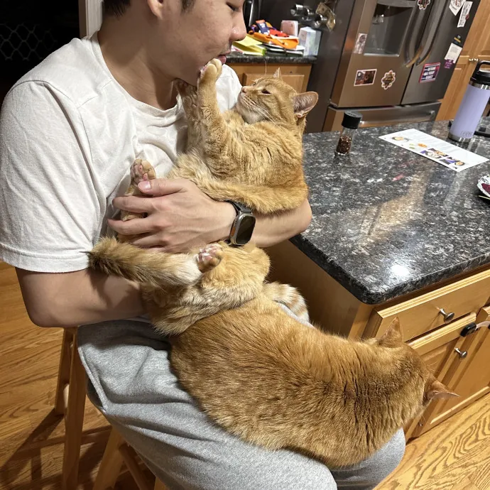 Dependable Attentive Local photo 2