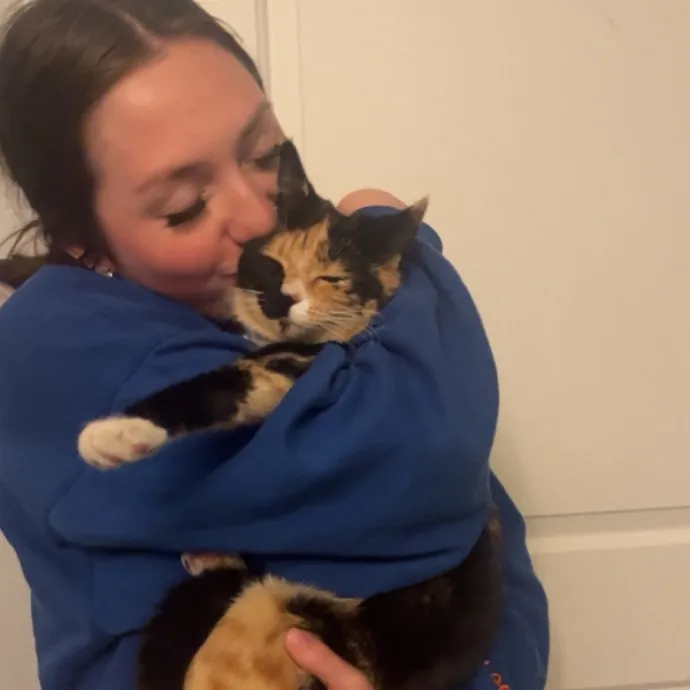 Your Cats New Best Friend photo 4