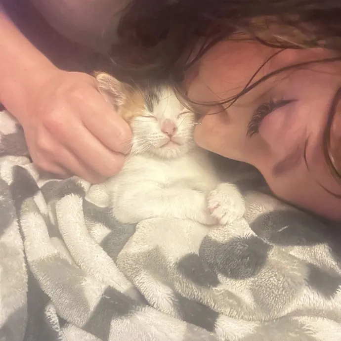Your Cats New Best Friend photo 3
