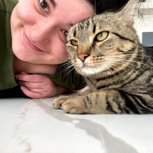 Marcy's Meows