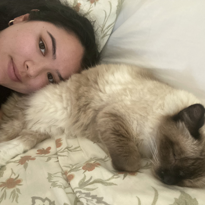 Cat Lover Looking To Help Out photo 3