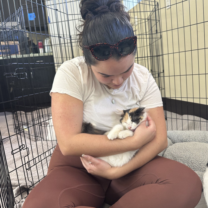 Cat Lover Looking To Help Out photo 2