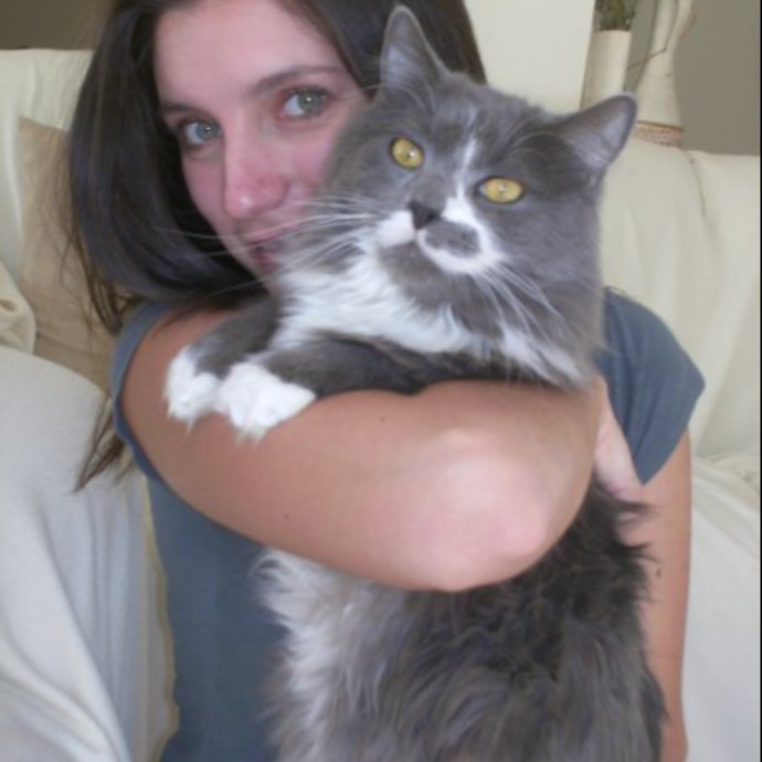 Mariya's Purrfect Cat Sitting photo 3