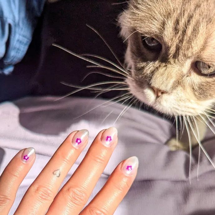 The Cat's Meow