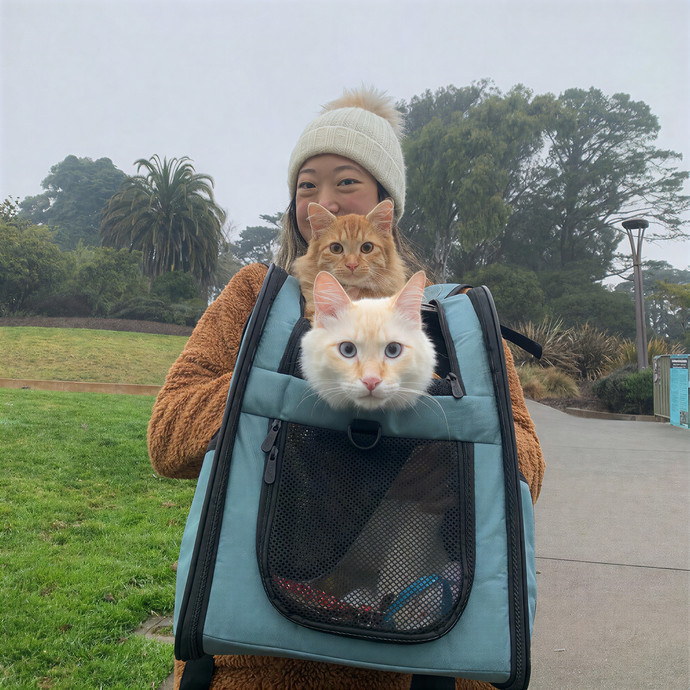 Purrfect Care By Your Favorite Vet Tech