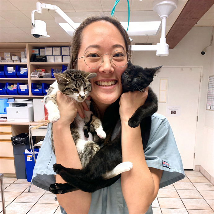 Purrfect Care By Your Favorite Vet Tech