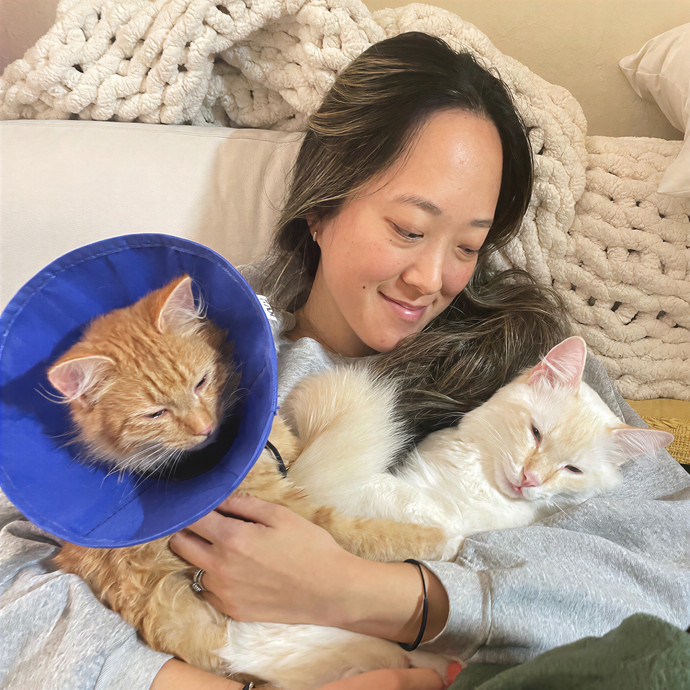 Purrfect Care By Your Favorite Vet Tech