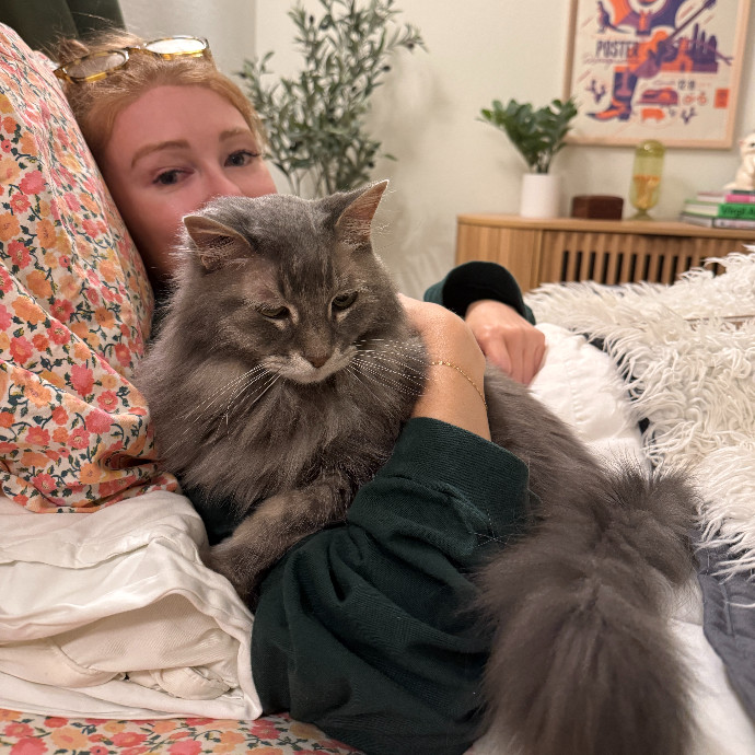 Cat Lady Here To Care photo 3
