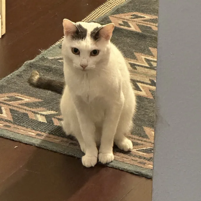Kelda M.