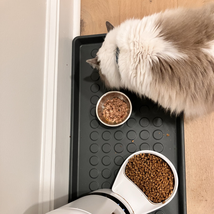 Gentle Care For All Purr-Sonalities