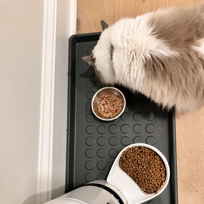 Gentle Care For All Purr-Sonalities