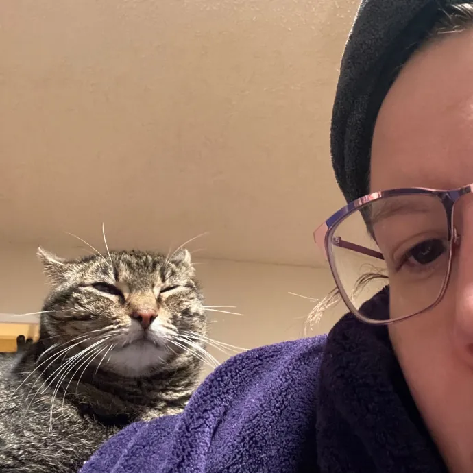 Ari's Valley Cat Hospitality