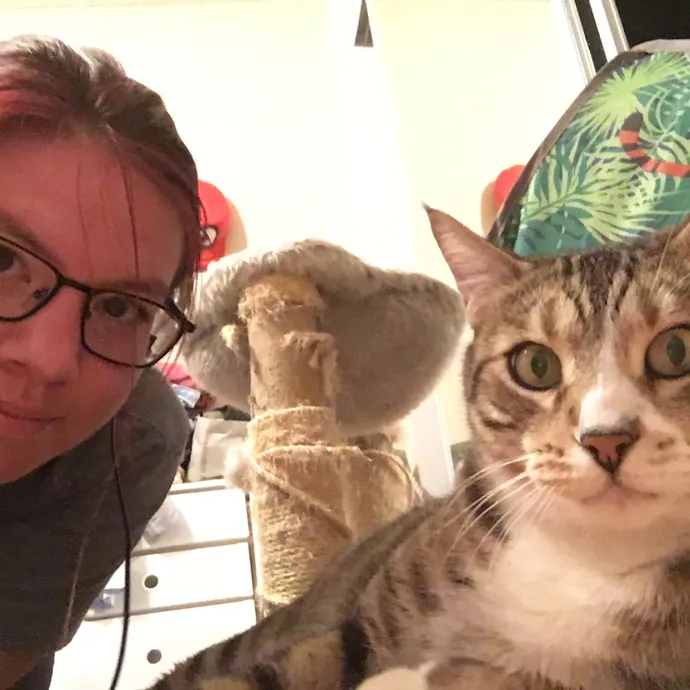 Ari's Valley Cat Hospitality