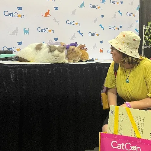 Ari's Valley Cat Hospitality