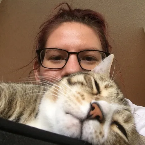 Ari's Valley Cat Hospitality