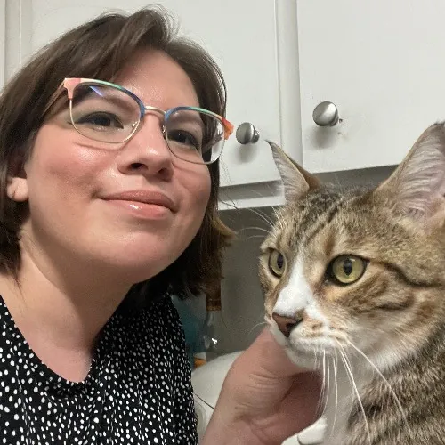 Ari's Valley Cat Hospitality