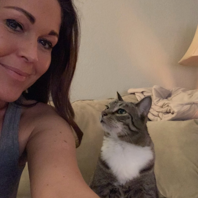 I Love Kitties