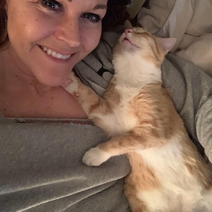 I Love Kitties