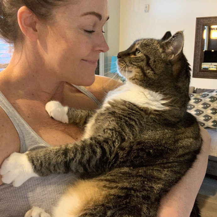 I Love Kitties