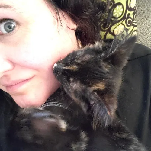 Smitten Kitten Cat Sittin' - Sara