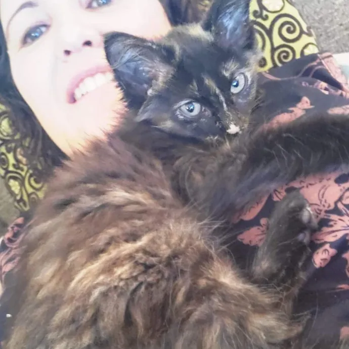 Smitten Kitten Cat Sittin' - Sara photo 3