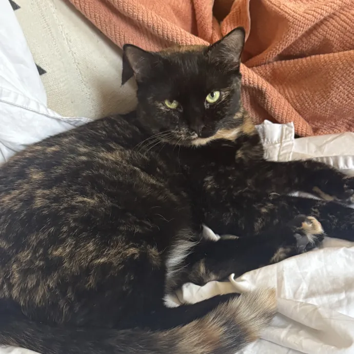 Ellie F.