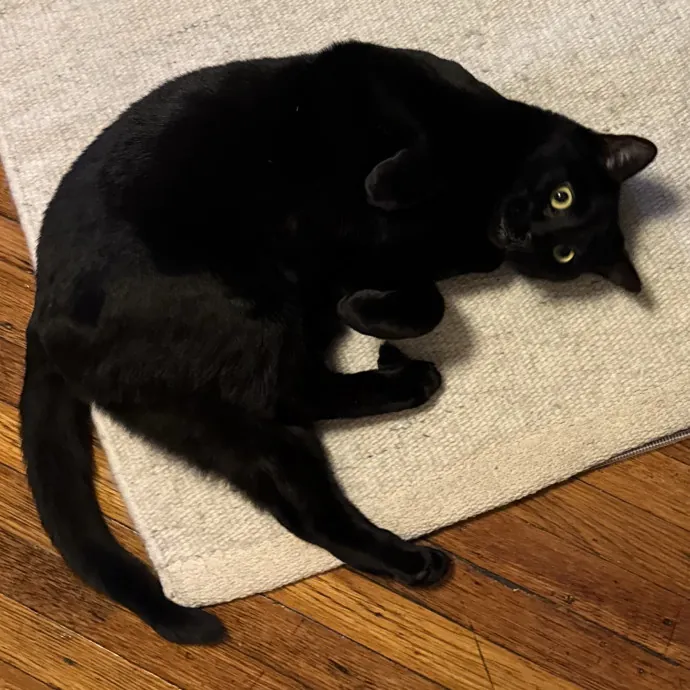 Ellie F.