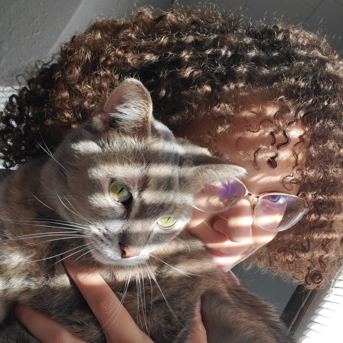 Shatoria's Cozy Cat Care