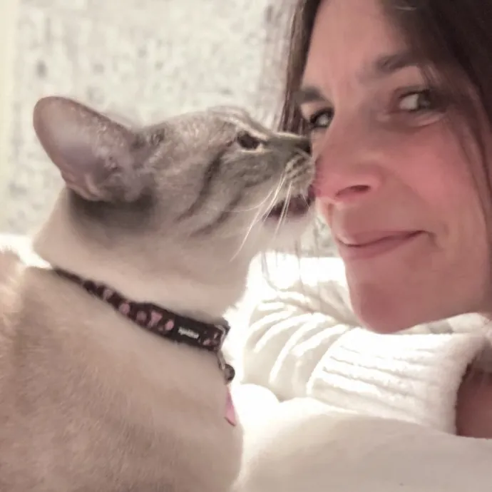 The Purr-Fect Sitter photo 4