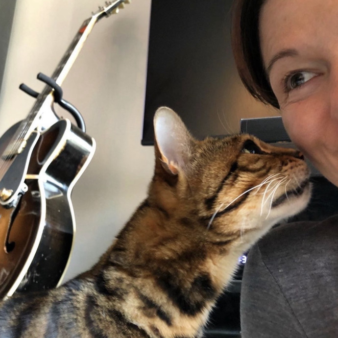 Long Time Professional Cat Sitter