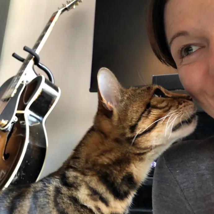 Long Time Professional Cat Sitter