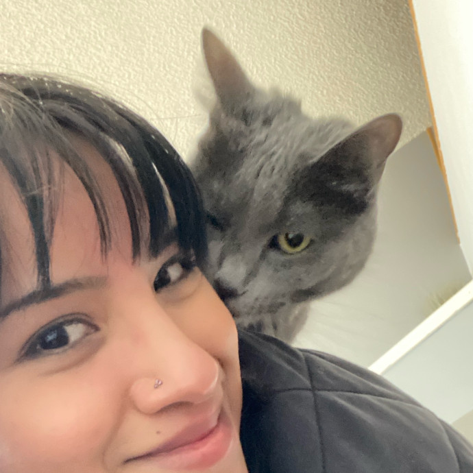 Whisker Whispers With Abi