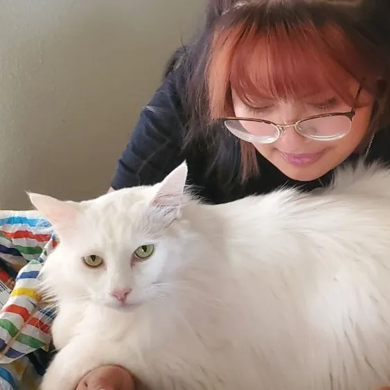 Experienced And Professional Cat Sitter