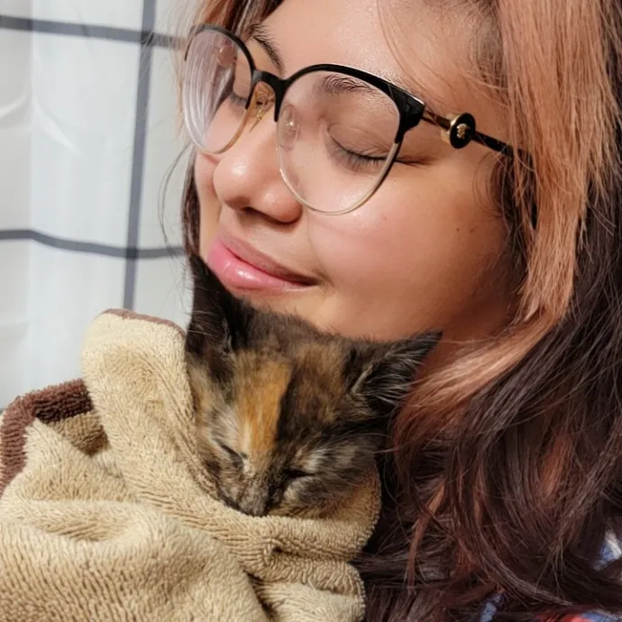 Experienced And Professional Cat Sitter