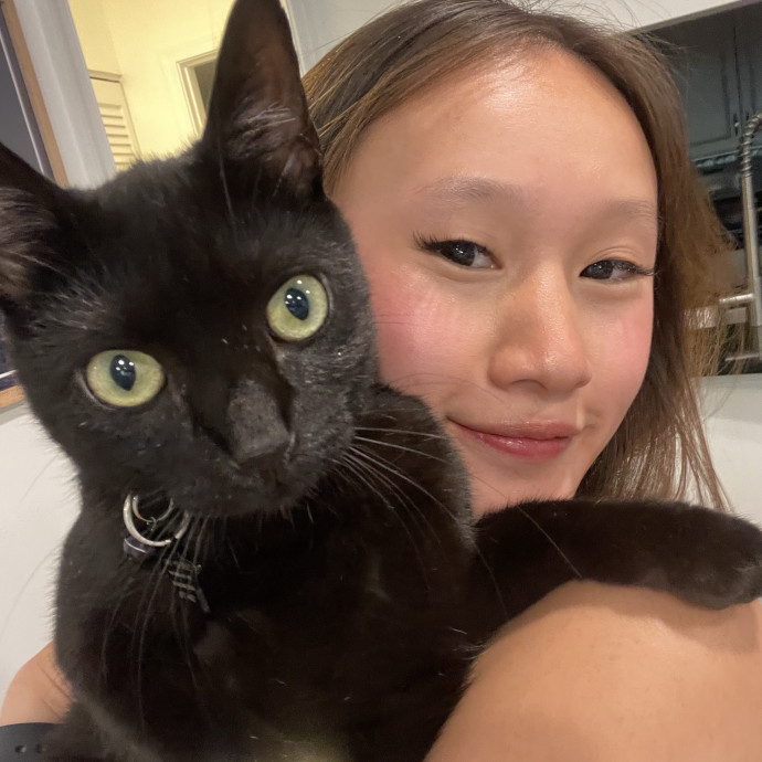 Cat Lover And Experienced Cat Sitter photo 3