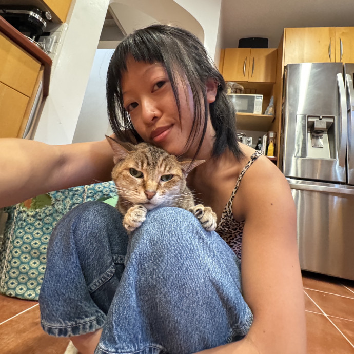 Carrie's Cat Care